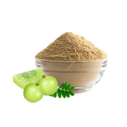 veganic-amla-powder-natural-indian-gooseberry-powder-avla-fruit-powder-nellikai-aawla-aamla-amloki-usirikaya-400g-product-images-orvjmqj58gs-p603646231-2-202308050724